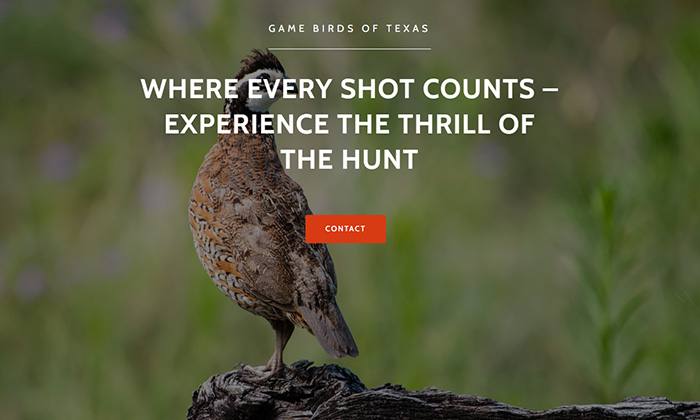 Game Birds of Texas